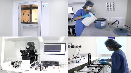 做三代试管婴儿前，科学补充叶酸全攻略